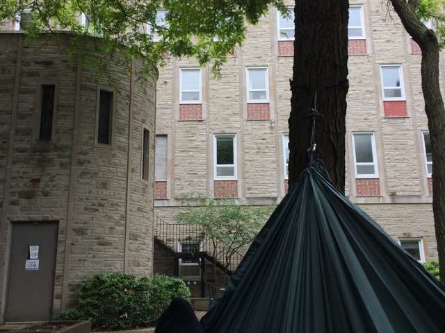 King of the Courtyard